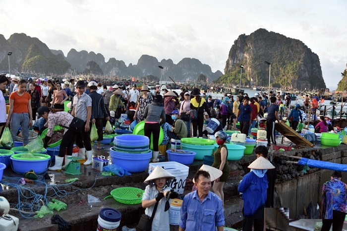 Chợ Hòn Gai - Địa chỉ mua hải sản tươi sống ở Hạ Long