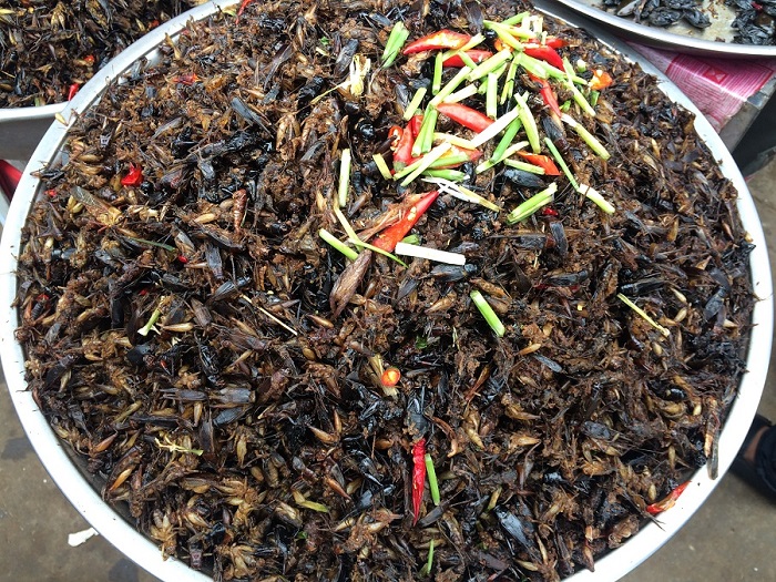 chợ côn trùng Campuchia đặc sắc