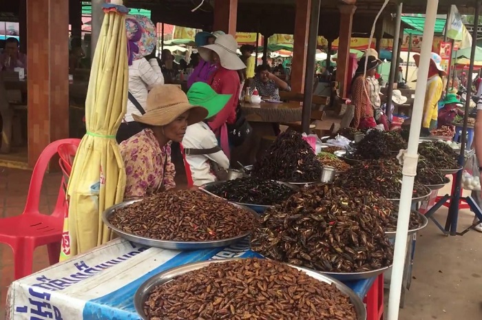 chợ côn trùng Campuchia ăn gì