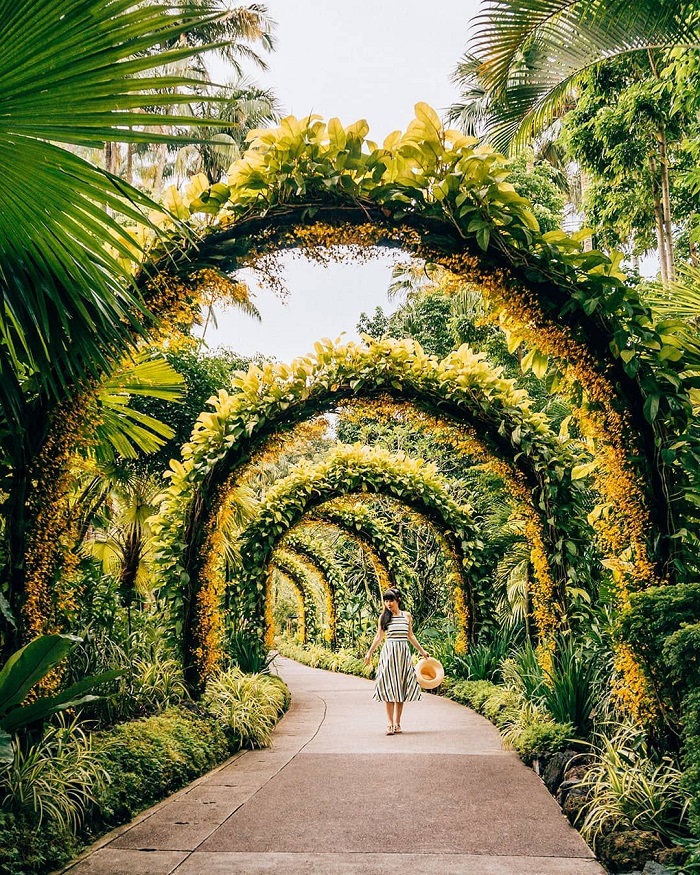 Khám phá công viên Botanic Garden tại Singapore
