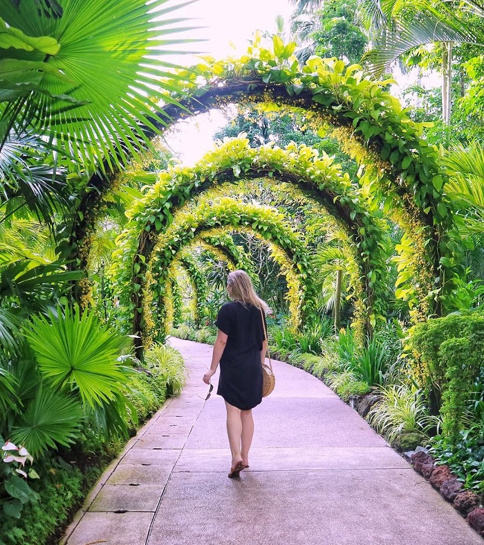 Khám phá công viên Botanic Garden tại Singapore