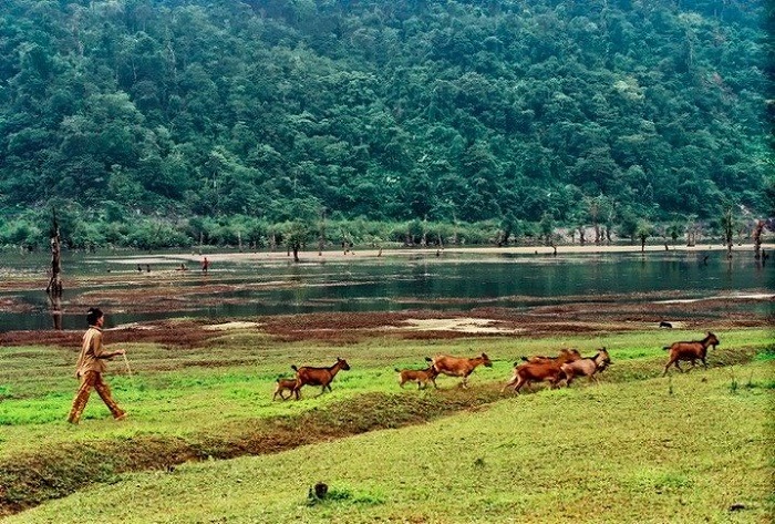 See the picturesque scenery at Noong Lake, Ha Giang