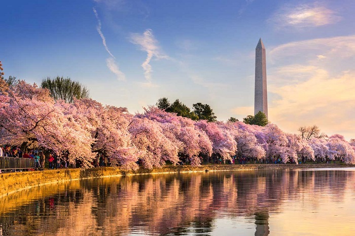 Những điểm tham quan màu hồng ấn tượng trên thế giới