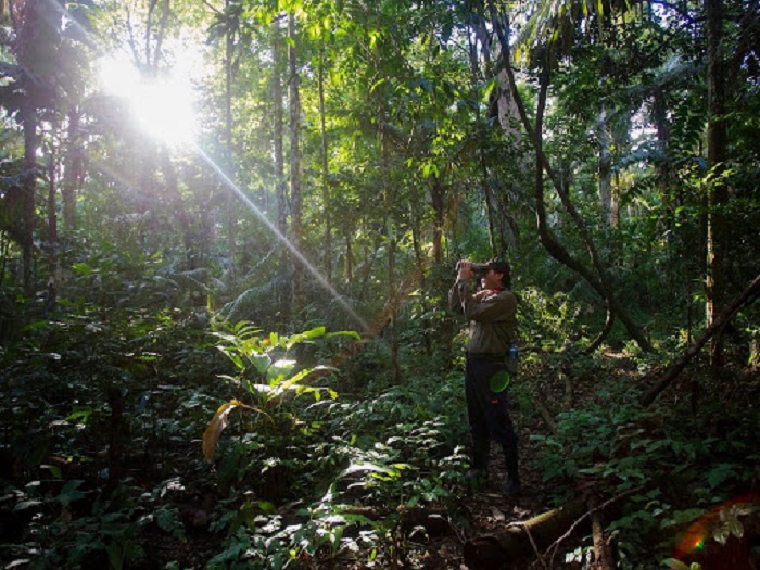 Kinh nghiệm du lịch rừng nhiệt đới Panama và những trải nghiệm thú vị
