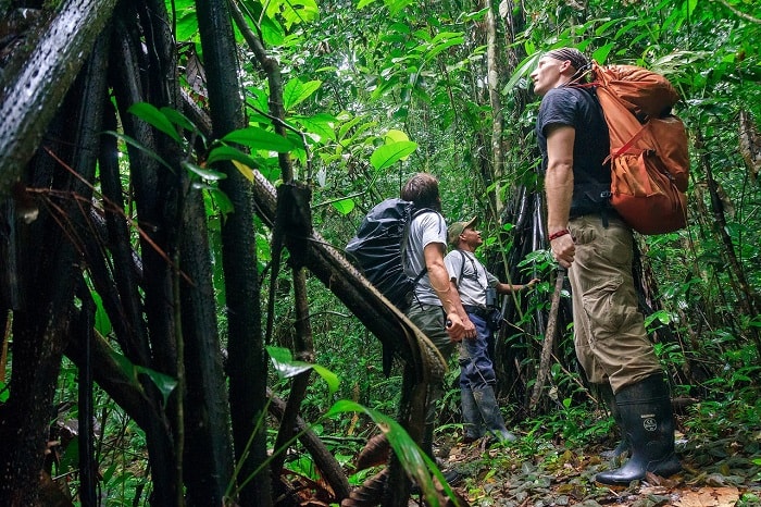 Kinh nghiệm du lịch rừng nhiệt đới Panama và những điều cần biết?