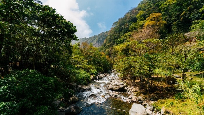 Kinh nghiệm du lịch rừng nhiệt đới Panama và những điểm tham quan nổi tiếng