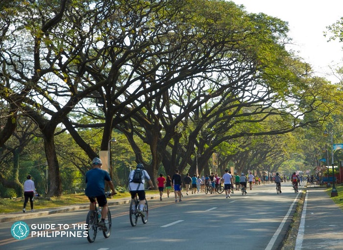 Hướng dẫn du lịch thành phố Quezon Philippines: cụ thể và chi tiết nhất