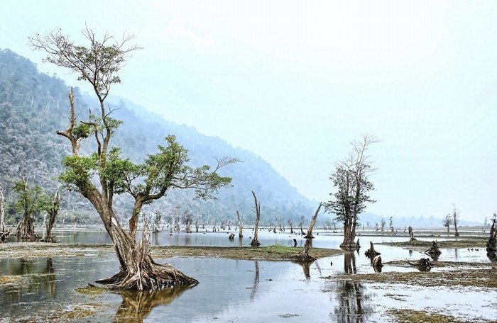 Ngắm cảnh đẹp như tranh ở Hồ Noong Hà Giang