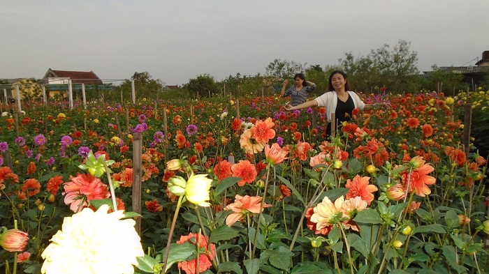 Vườn hoa Bách Thuận - Địa điểm chụp ảnh đẹp ở Thái Bình
