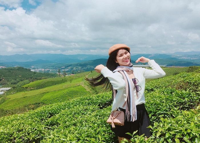 Discover Tan Uyen tea hill in Lai Chau