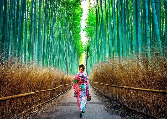 Lạc vào rừng tre Arashiyama - địa điểm chụp ảnh đẹp nhất ở Kyoto
