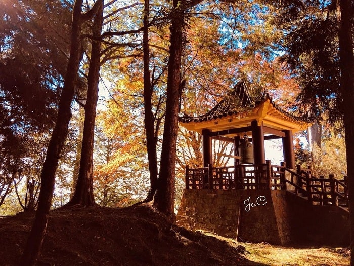 Alishan - điểm đến mùa thu ở Đài Loan đẹp tựa cổ tích