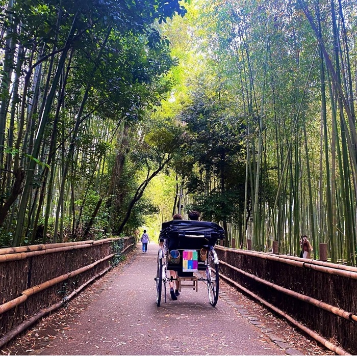 Trail for rickshaws - Arashiyama Bamboo Forest