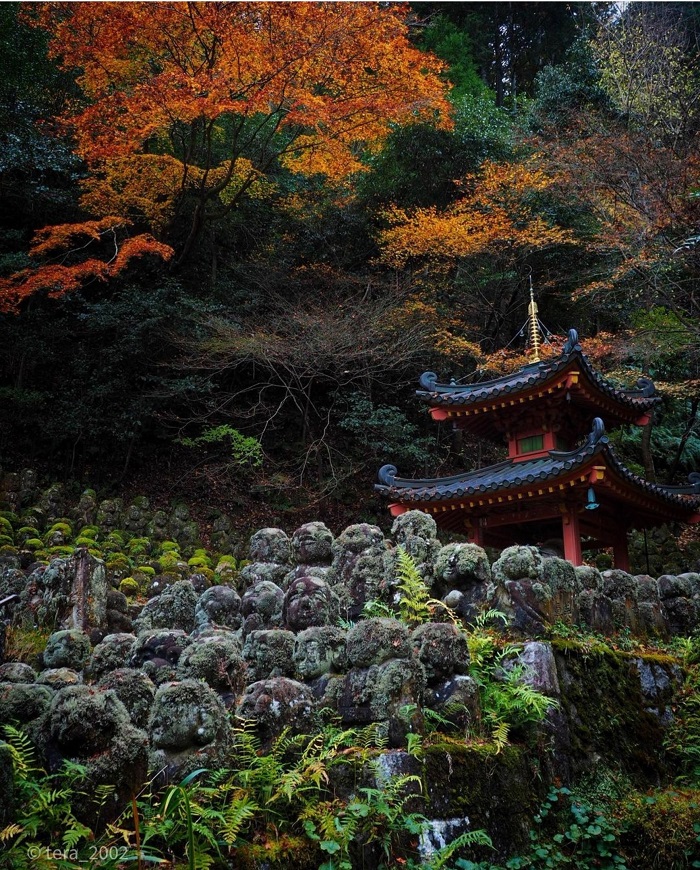 The zen beauty of Otagi Nenbutsu-Ji Temple - Arashiyama Bamboo Forest