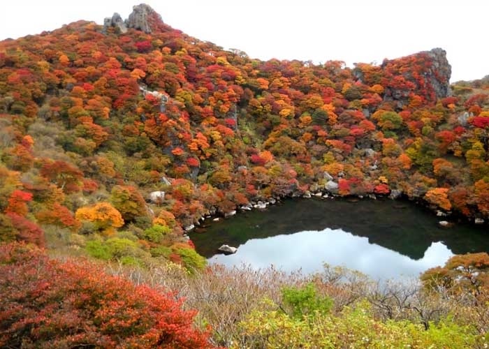 Núi A Lý - điểm đến mùa thu ở Đài Loan đẹp tựa cổ tích