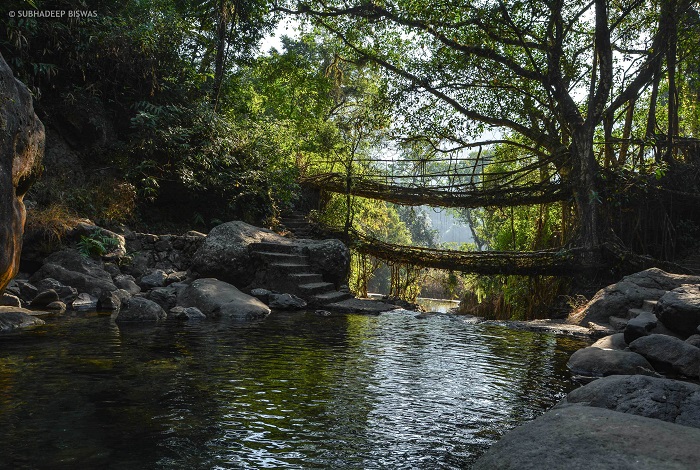 Ghé thăm cây cầu gốc rễ hai tầng của Nongriat - trải nghiệm du lịch Đông Bắc Ấn Độ