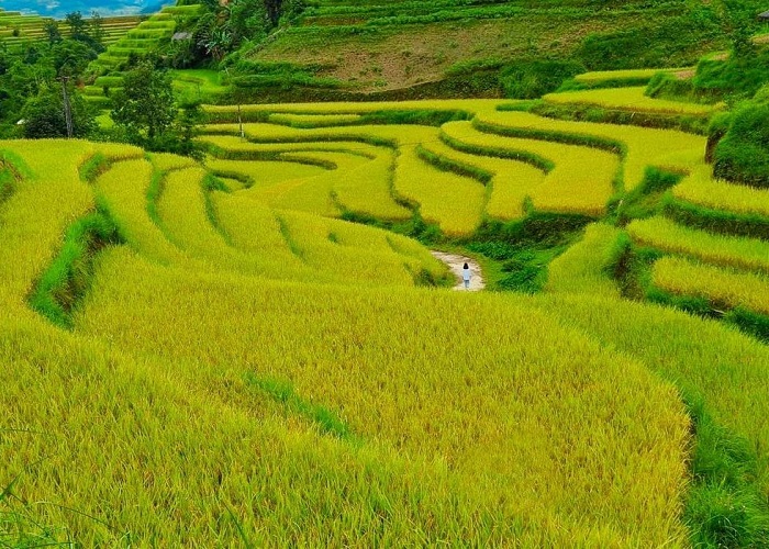 What is beautiful in Ha Giang village?