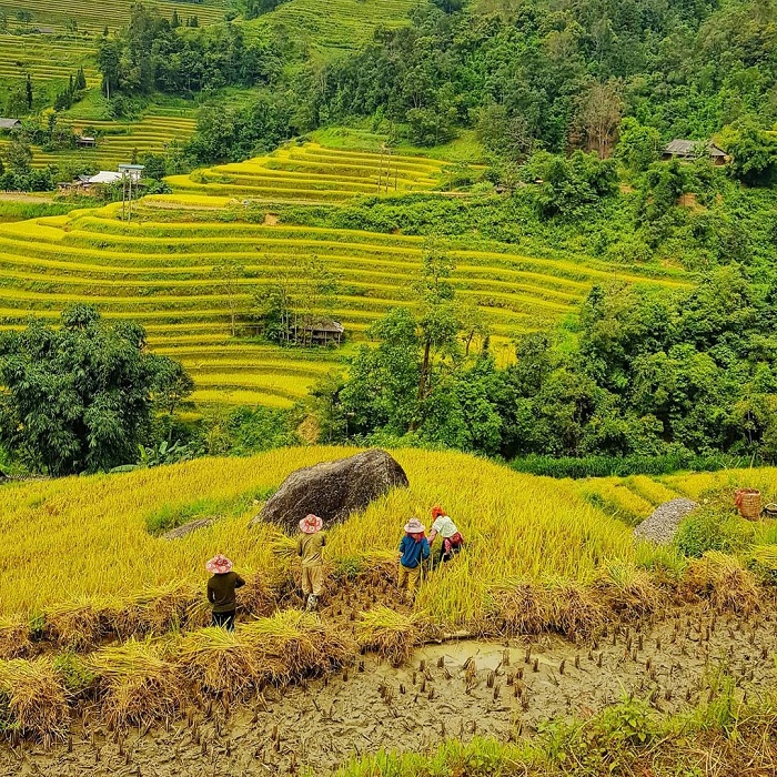 Experience going to Ban Phung Ha Giang