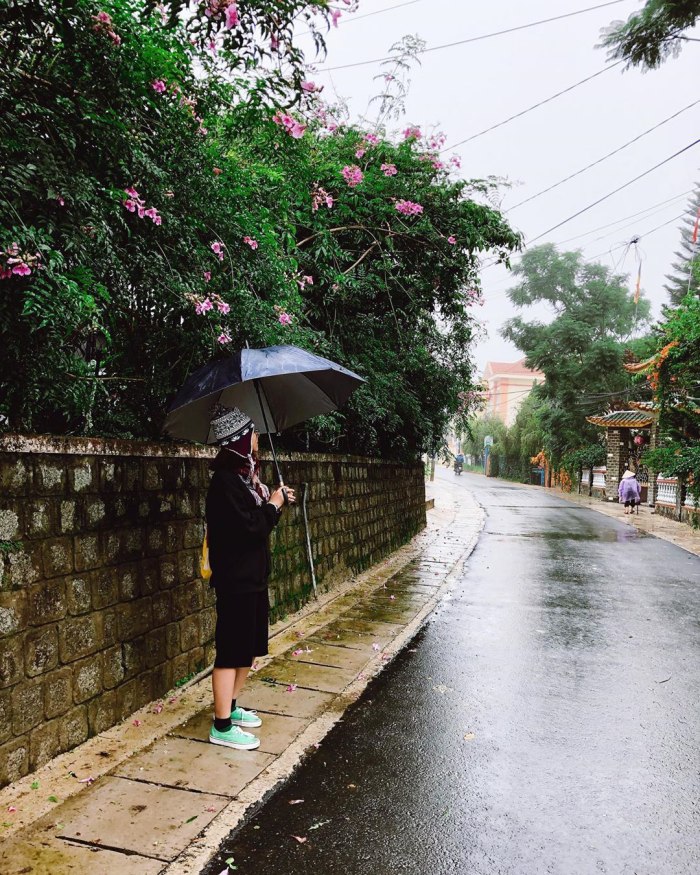 Hãy khám phá vẻ đẹp của mùa mưa ở Đà Lạt cùng chúng tôi. Không chỉ là điểm đến du lịch nổi tiếng, Đà Lạt còn là điểm đến lý tưởng cho những ai yêu thích khám phá nét đẹp của thiên nhiên trong mùa mưa. Hãy cùng chúng tôi tận hưởng cảm giác thú vị và trải nghiệm đầy ý nghĩa tại Đà Lạt.