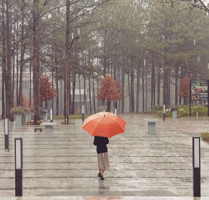 Những lý do nên du lịch Đà Lạt mùa mưa khung cảnh lãng mạn