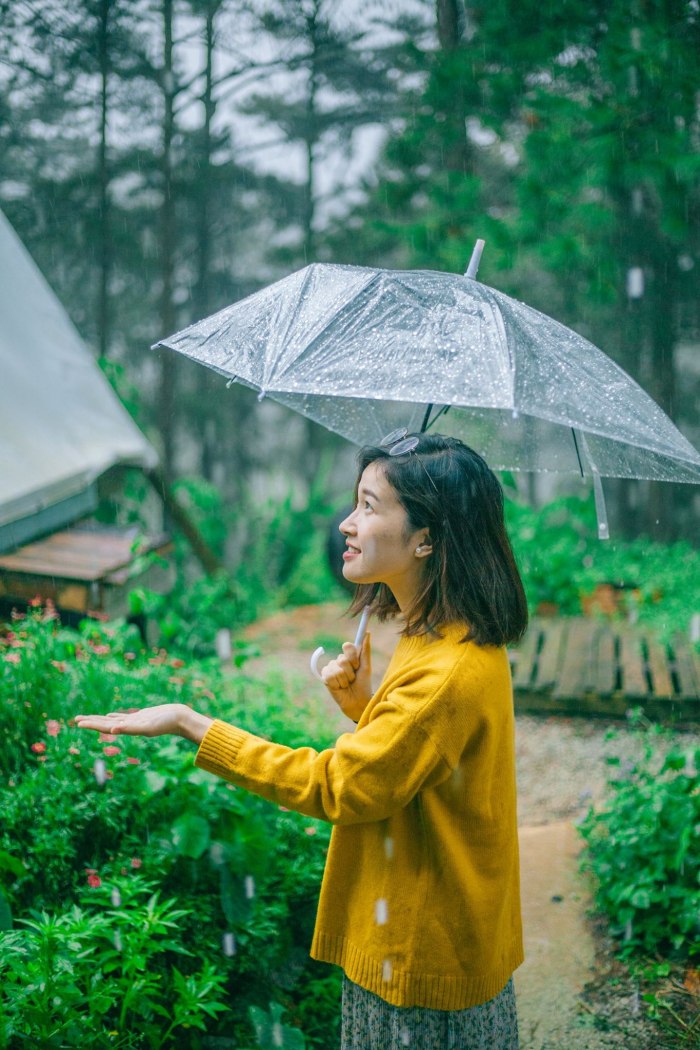 Những lý do nên du lịch Đà Lạt mùa mưa kéo dài từ tháng 5 đến tháng 10