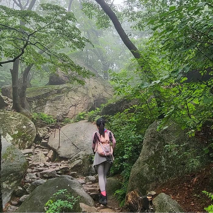 du lịch Hàn Quốc 2022 - trekking