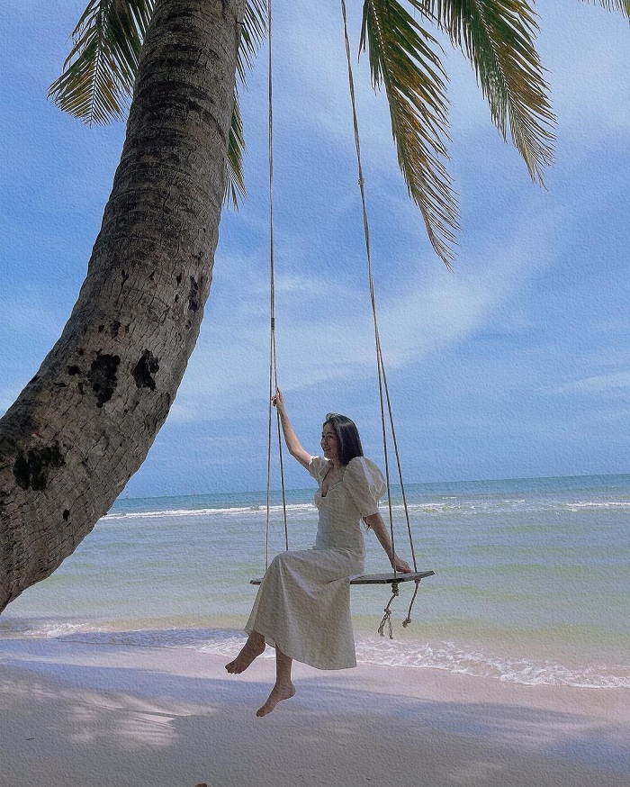 Bai Sao Phu Quoc coconut tree is one of the beautiful virtual living coconut trees in Vietnam