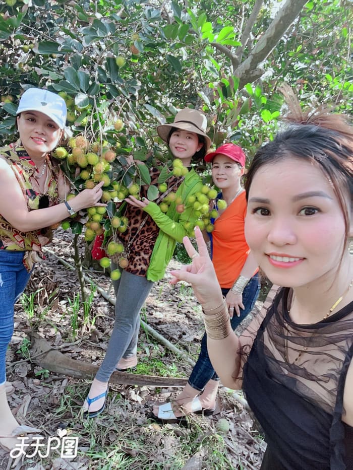 check in vườn trái cây Hoàng Tuấn - Phá đảo vườn