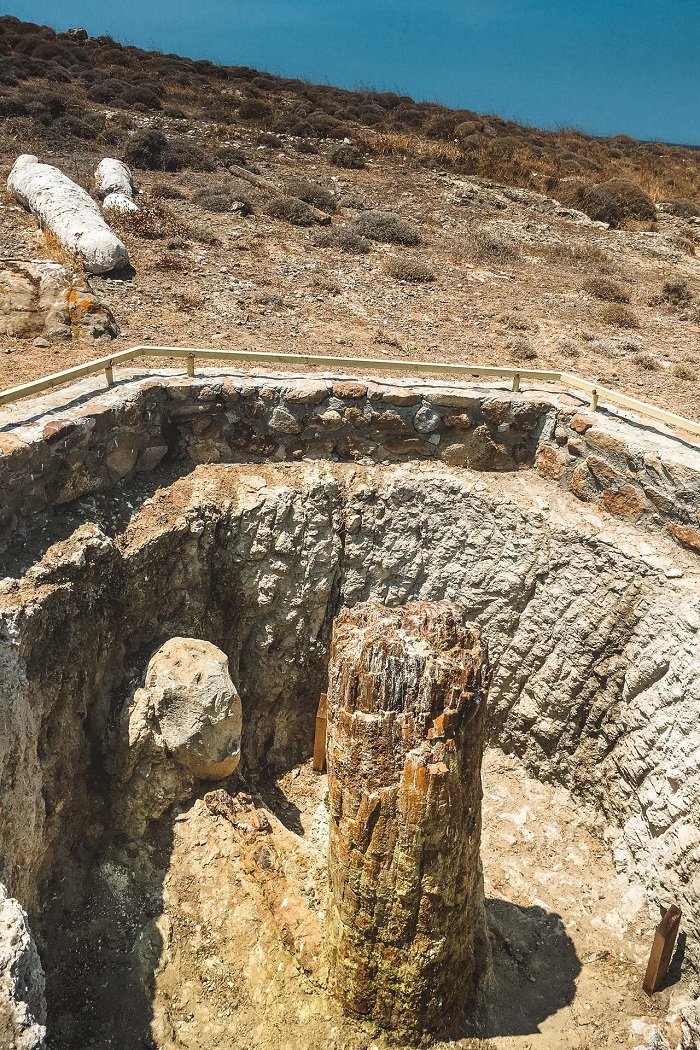Tàn tích rừng hóa đá - du lịch đảo Lesbos Hy Lạp