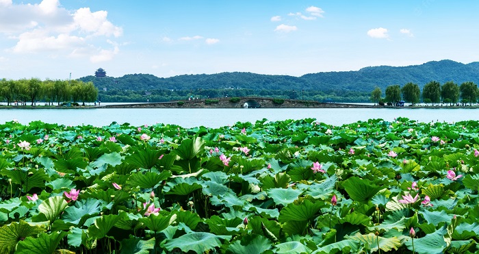 Vẻ đẹp 4 mùa quyến rũ mê người ở Tây Hồ Hàng Châu