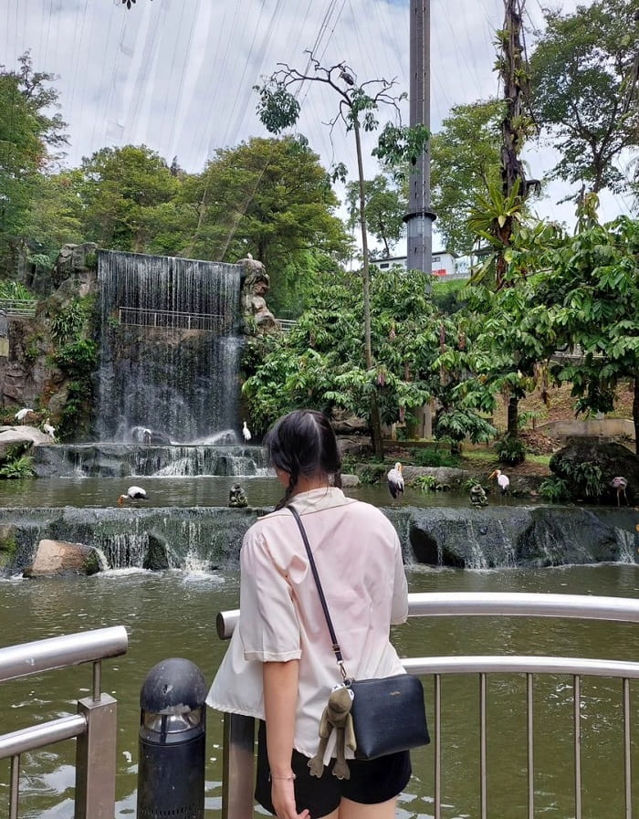 Tham quan vườn chim ở công viên chim Kuala Lumpur