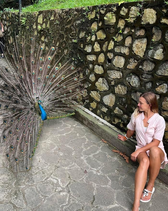 Khám phá công viên chim Kuala Lumpur Malaysia