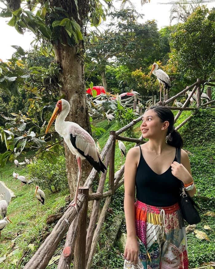 Tham quan vườn chim ở công viên chim Kuala Lumpur