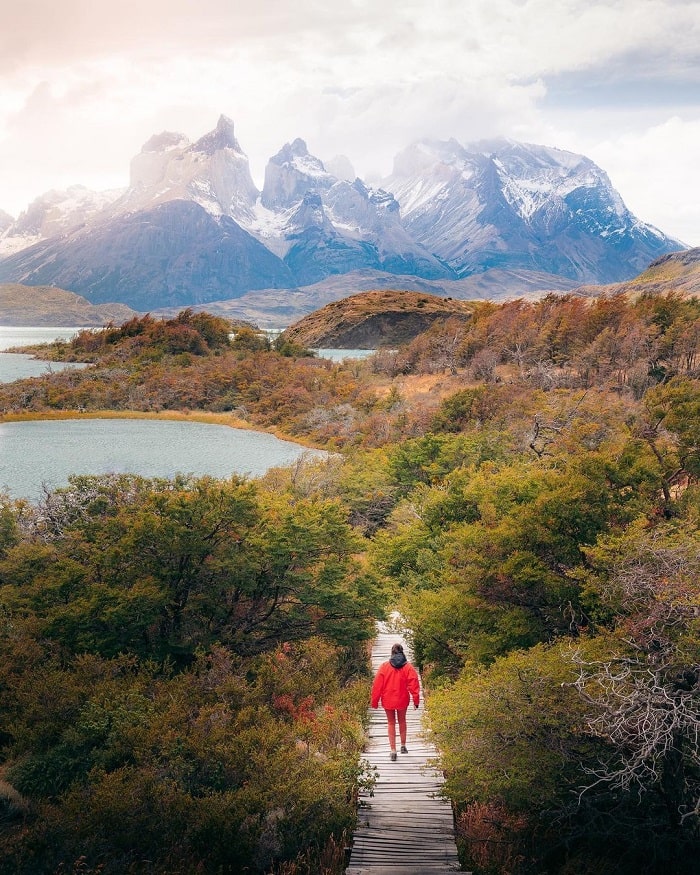 Công viên Quốc gia Torres del Paine Chile
