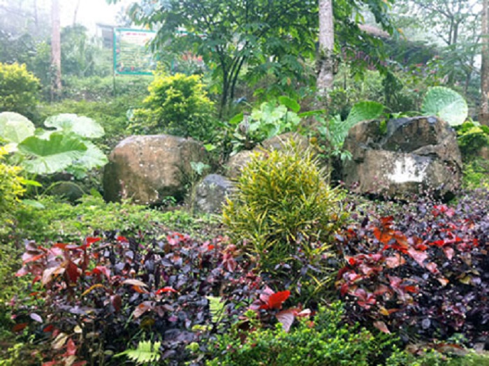 điểm du lịch Kim Bôi Hoà Bình - vườn Thượng Uyển