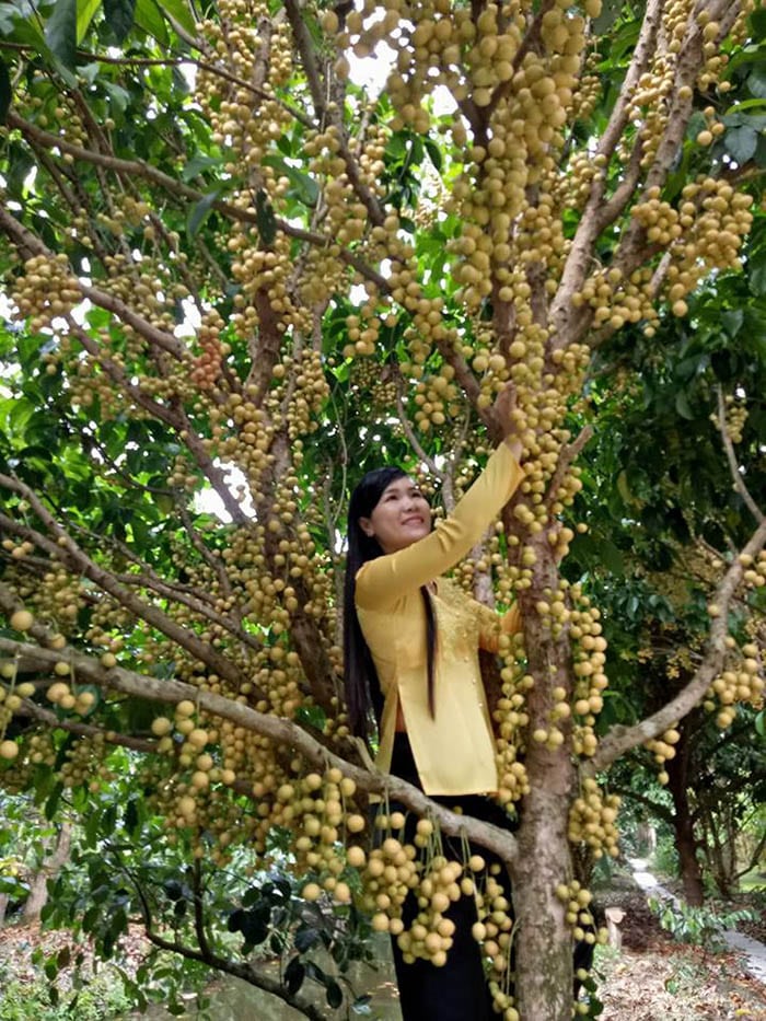 Vườn du lịch sinh thái Giáo Dương - Khung cảnh bình yên