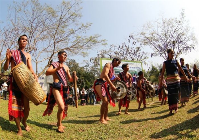 Ba Na festival in Kon Tum stabbing buffalo