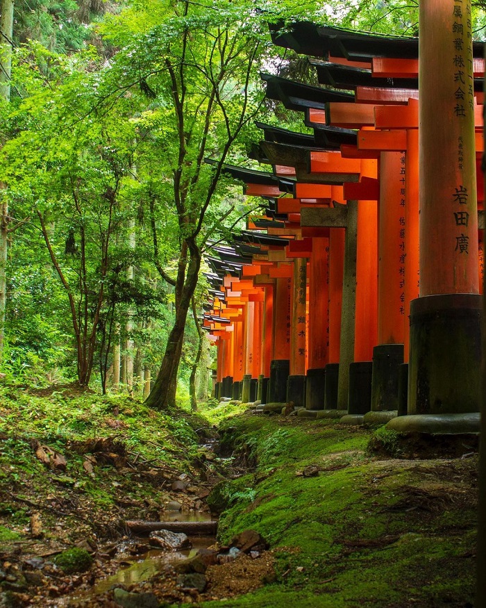 Đền Shinto là ngôi đền đẹp ở châu Á không thể bỏ qua