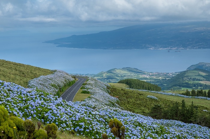 Đảo Faial - địa điểm du lịch châu Âu 2023