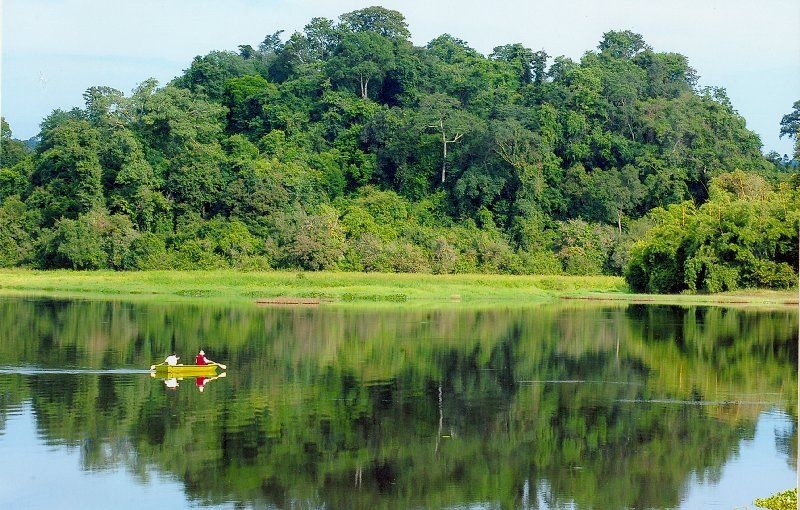  rừng nguyên sinh Tây Cát Tiên thu hút du khách ở Bình Phước