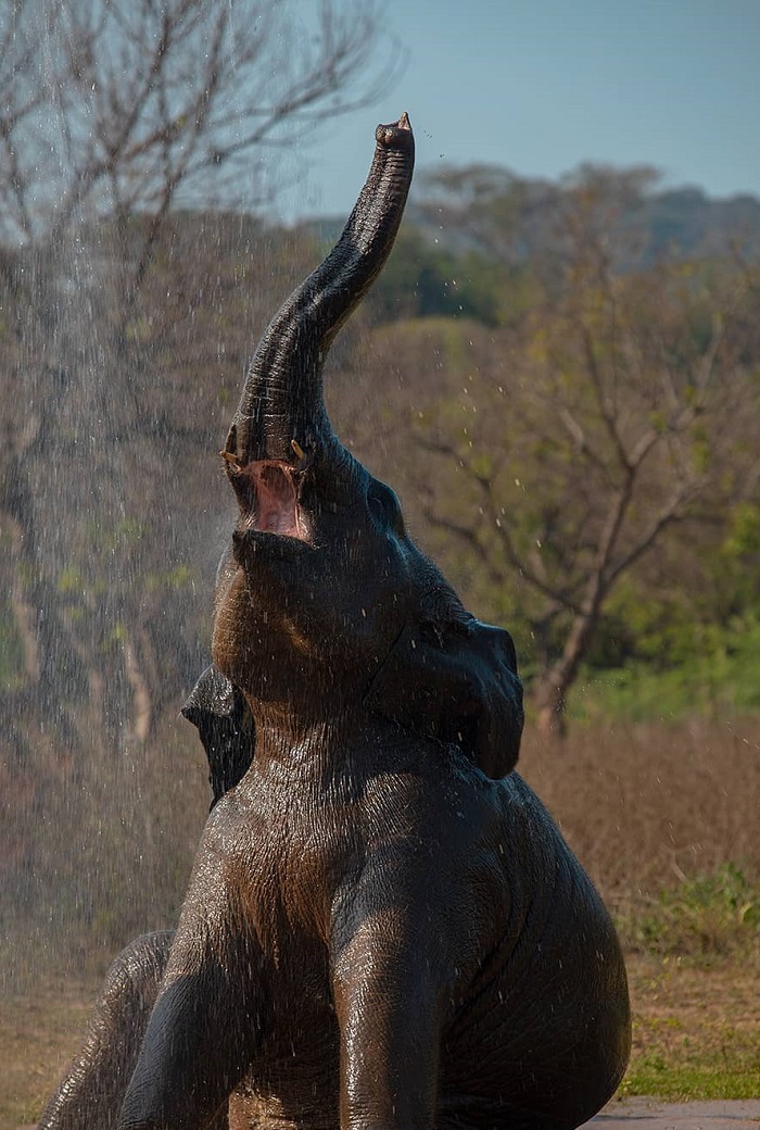 Arignar Anna cũng là một trong những sở thú lớn nhất thế giới nằm tại Ấn Độ