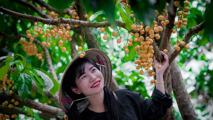 Vườn du lịch sinh thái Giáo Dương - Tận hưởng không khí