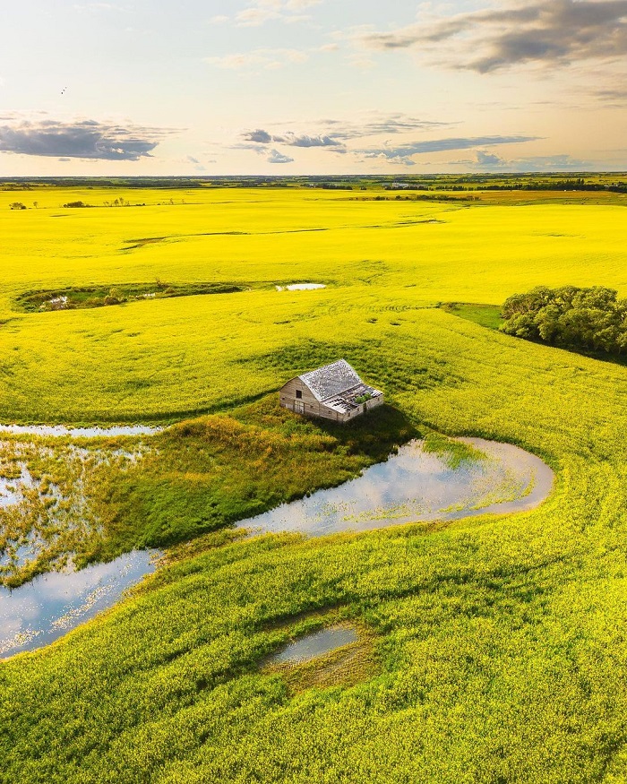 Saskatchewan là một trong những thảo nguyên đẹp nhất thế giới