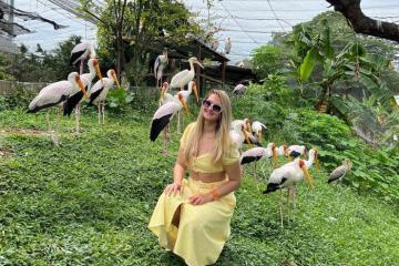 Khám phá thế giới chim đa dạng tại công viên chim Kuala Lumpur Malaysia