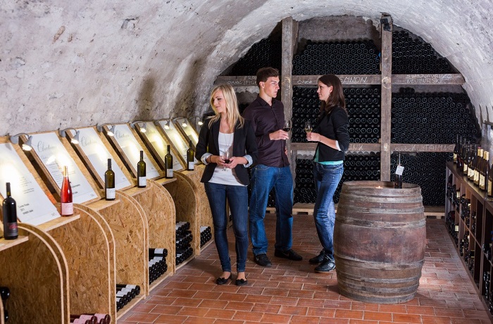 Tham quan hầm nếm rượu của lâu đài là hoạt động thú vị khi ghé thăm thị trấn Litomysl 