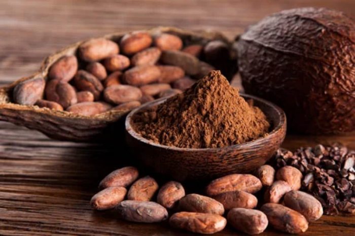 cacao đặc sản làm quà Đắk Lắk