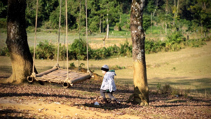 Bãi Bùi Lạc Sơn Hòa Bình - cây Tlau