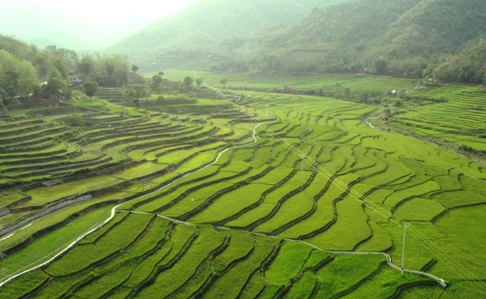 du lịch Mường Lát Thanh Hoá - Ruộng bậc thang Pom Khuông