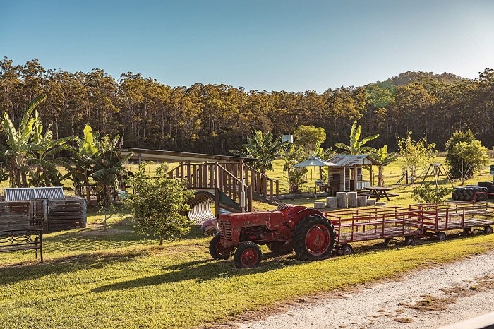 Tham quan một trang trại đào đẹp như tranh vẽ là điều tuyệt vời để làm ở thị trấn Yamba Úc