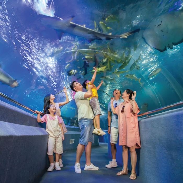 điểm du lịch cho gia đình ở Nha Trang Vinpearl Land Nha Trang